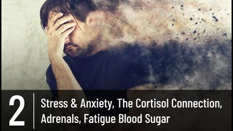 Episode 2 - Stress & Anxiety - The Cortisol Connection - Adrenals/Fatigue/Blood Sugar