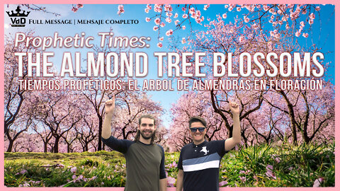 Prophetic Times: The Almond Tree blossoms - Lion Cooke & Emmanuel Kilem - VdD7