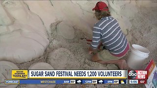 Pier 60 Sugar Sand Festival in need of thousands of volunteers