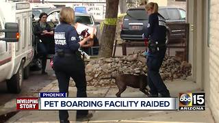 Owners of Phoenix boarding facility arrested