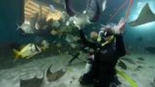 Aquarium Encounters of a Different Kind