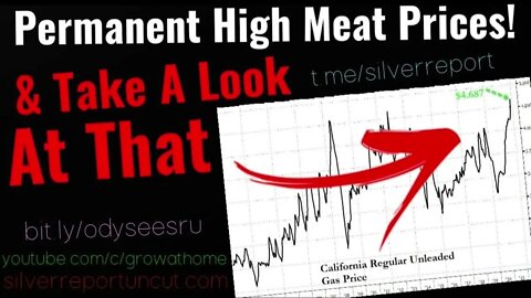 Prepare For Permanently High Meat Prices, California Gas Prices Surge To Record High