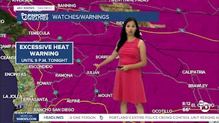 ABC 10News Pinpoint Weather for Sun. June 20, 2021