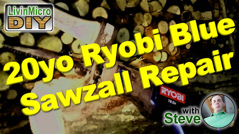 20yo Ryobi Blue Sawzall Repair