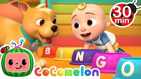 Bingo Was His Name-O + MORE Dog Songs! CoComelon Nursery Rhymes & Animal Songs