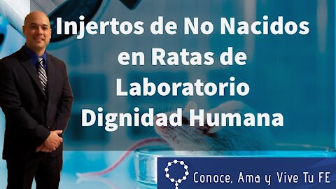 Vacunas 😱 Injertos de No Nacidos en Ratas de Laboratorio 😨 El Fin no justifica los medios 🗣