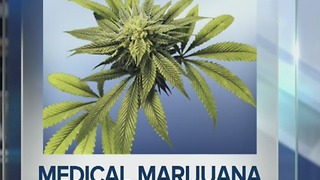 West Palm Beach to vote on medical marijuana dispensaries