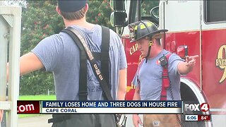 Three dogs die in Cape Coral house fire