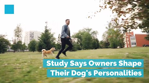 Study Says Owners Shape Their Dog's Personalities