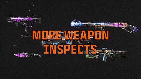 More Weapon Inspects Including the Vault Blueprints