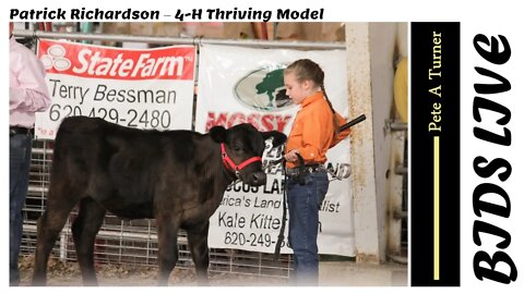 Patrick Richardson – 4-H Thriving Model