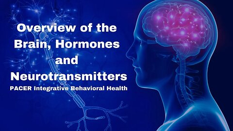Overview of the Brain, Hormones and Neurotransmitters: PACER Integrative Behavioral Health