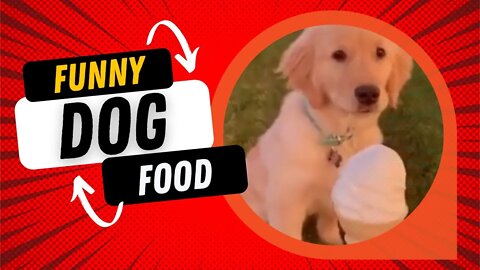 😹Funny Dogs Love Food Video Clips