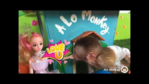 Baby Monkey BiBi Playing With Barbie Doll, Animals Home