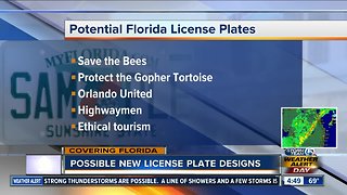 Florida Legislature considers 5 new specialty license plates