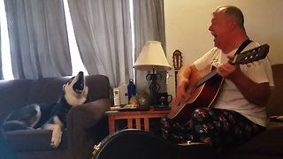 Howling Husky Sings Along With Owner Playing The Guitar