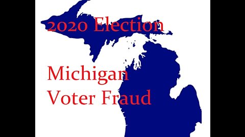 The Michigan Affidavits - (What You Need To Know)