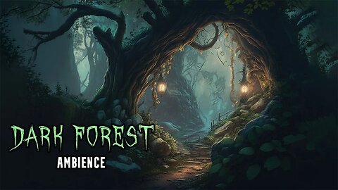 Lost In The Dark Forest | Ambience | Rain In The Woods