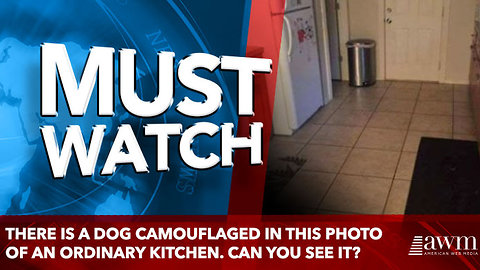 There is a dog camouflaged in this photo of an ordinary kitchen. Can you see it?