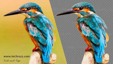 7 Ways To Remove Image Background Using GIMP 2021