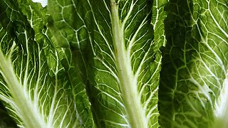 Over 100 Cases Reported In E. Coli Outbreak Linked To Romaine Lettuce