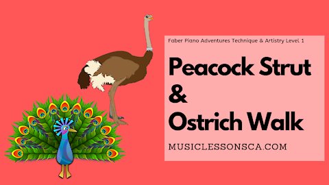 Piano Adventures Technique & Artistry Level 1 - Peacock Strut & Ostrich Walk