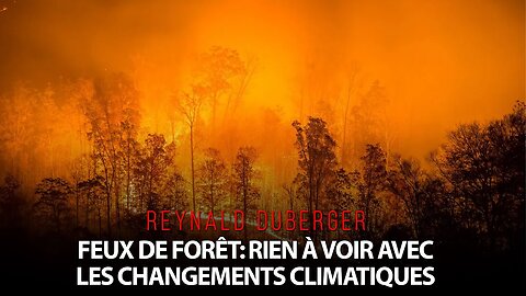 REYNALD DUBERGER: LES FEUX DE FORÊT N'ONT RIEN À VOIR AVEC LES CHANGEMENTS CLIMATIQUES