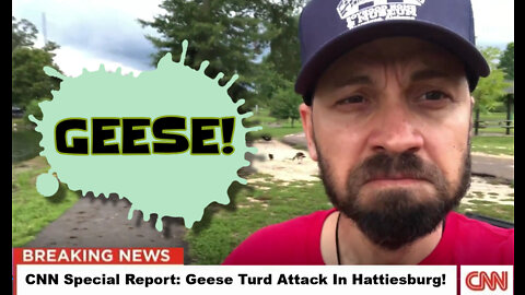 CNN Special Report: Geese Turd Attack In Hattiesburg!