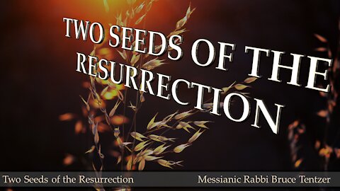 Two Seeds of the Resurrection