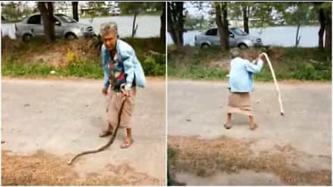 Grandma kills snake with her bare hands