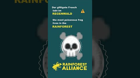 Der giftigste Frosch lebt im Regenwald❗️