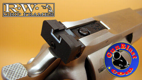 "2 Dogs" Ruger Adjustable Rear Sight Upgrade from RW Grip Frames
