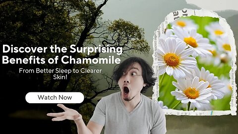 Chamomile: The Secret to Better Sleep, Clearer Skin, and a Healthier You!"