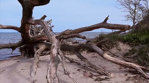 Ausflug in die Natur 04-05-2023