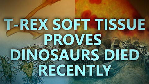 T-rex soft tissue proves dinosaurs died recently