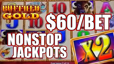 Hitting Jackpots Playing High Limit Buffalo Gold!