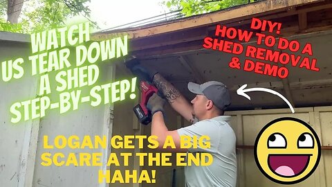 DIY How to demo & remove a shed Step by Step PLUS Logan gets a scare at the end! Watch us work!