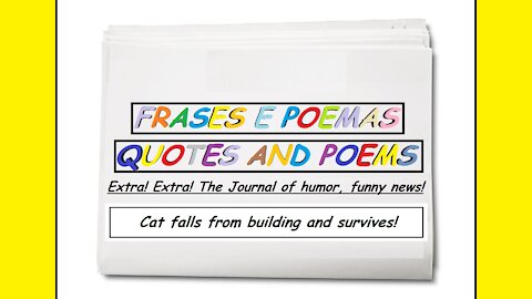 Funny news: Cat falls from building and survives! [Quotes and Poems]