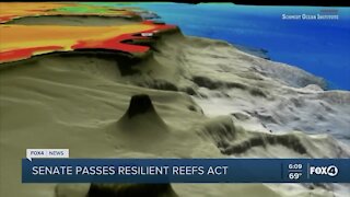 Senate passes Resilient Reefs Act