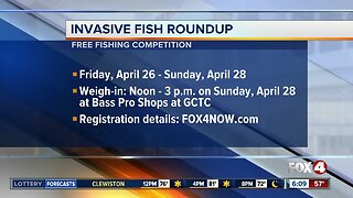 Invasive fish round-up scheduled in Southwest Florida