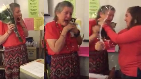 Students Surprises Teacher With Kittens