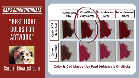 Best Light Bulbs for Artwork | QUICK TUTORIAL | ColorView | Lumichrome | Carol Zirkle Montana Artist