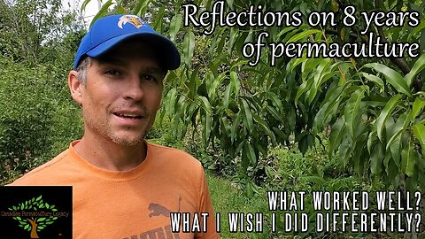 Reflections on 7 years of permaculture, the good and the bad