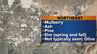 Las Vegas valley prepares for allergy season