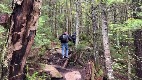 Hiking in the fall | Mount Jackson and Mount Webster Trail Loop | White Mountain National Forest