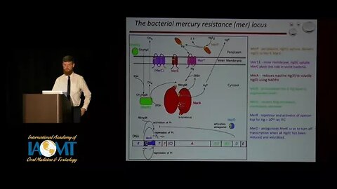 Inorganic and Organic Hg Damage Proteins | Stephen LaVoie, PhD (proxy) for Anne Summers, PhD