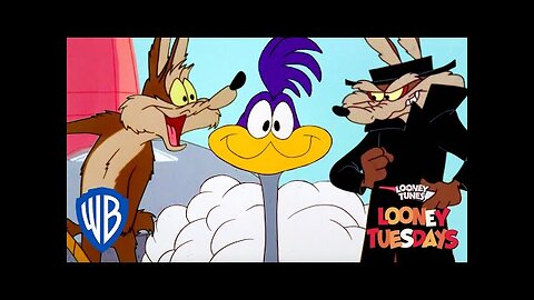 Looney Tuesdays | How NOT To Capture The Roadrunner