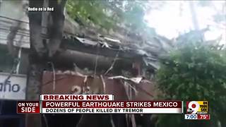 Powerful earthquake strikes Mexico