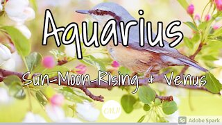 Aquarius March "Amazing opportunity "