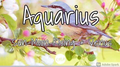 Aquarius March "Amazing opportunity "